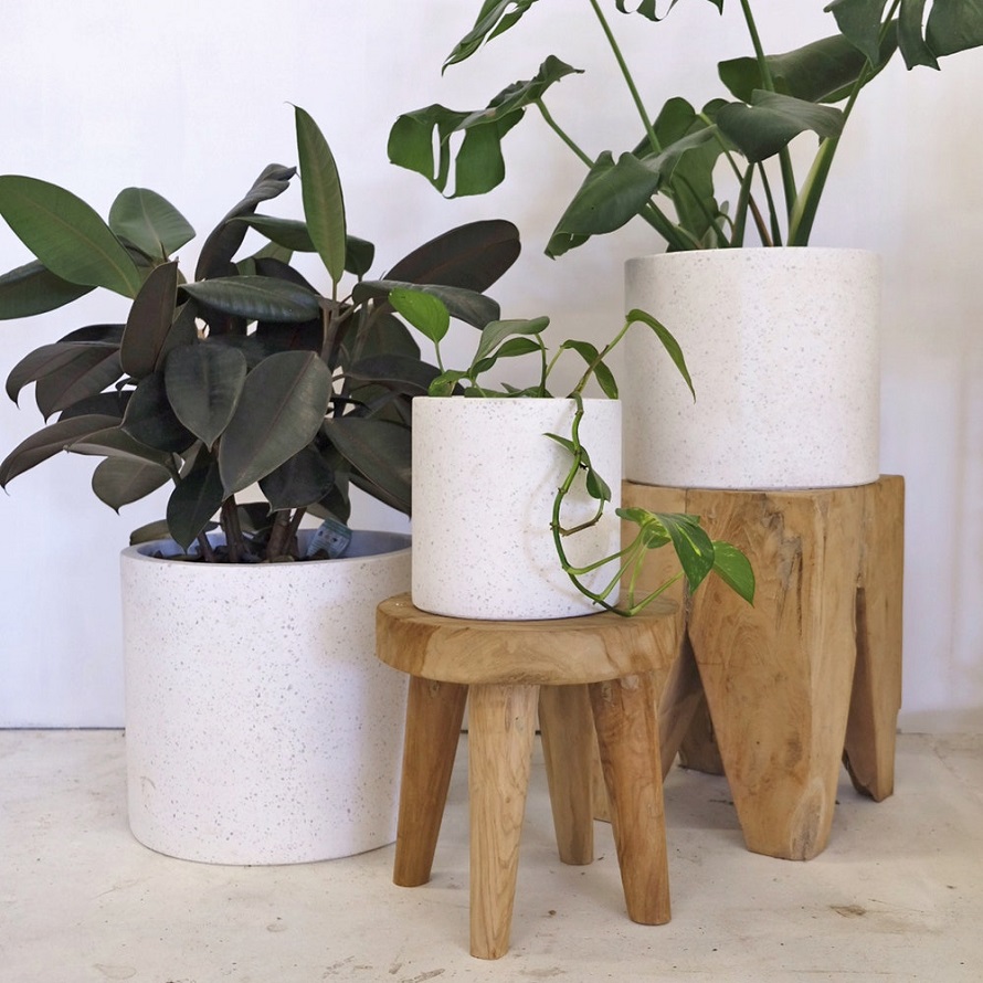 hanging plant pots indoor