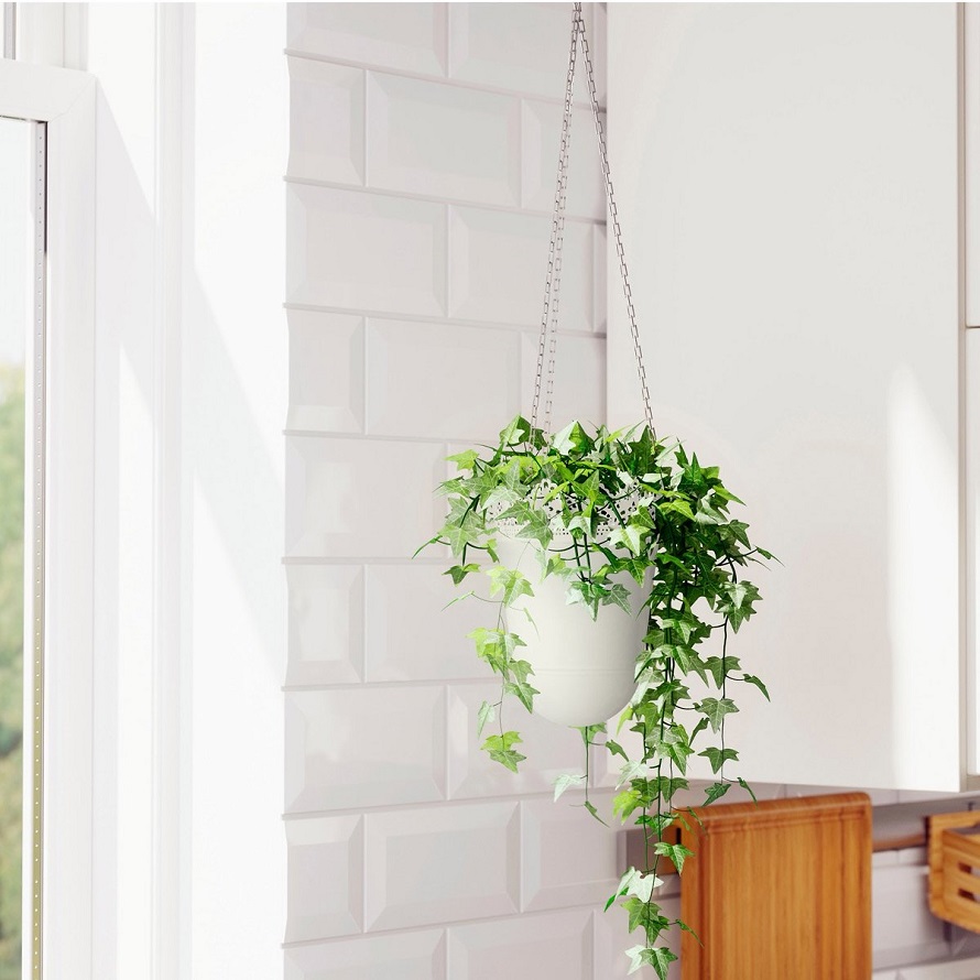 hanging planters indoor