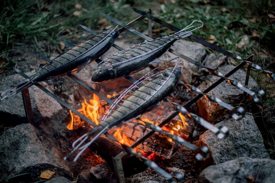 portable-camping-grill