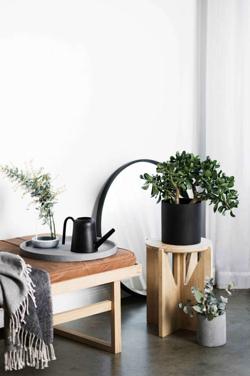 stylish modern planters