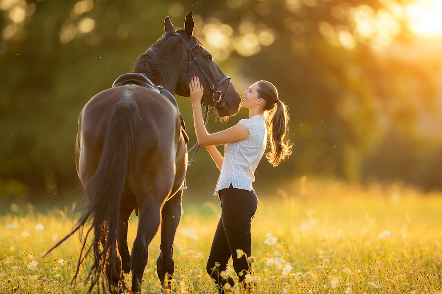 Young woman with her horse in evening sunset light