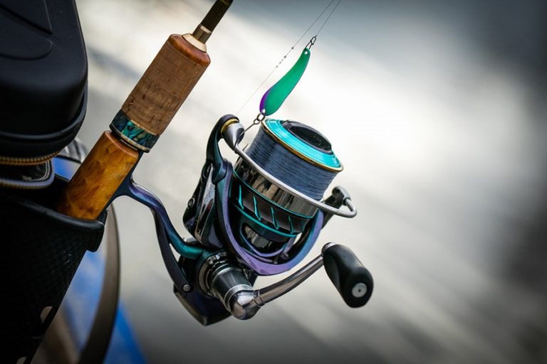 The Difference Between Freshwater and Saltwater Reels - Online Authority