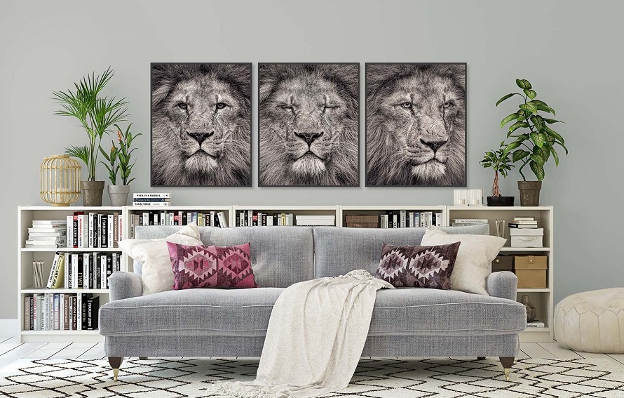 Posters of lion above sofa