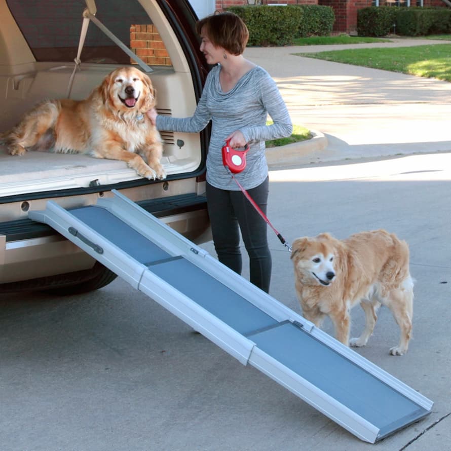 2 dogs on a folding pet car ramp