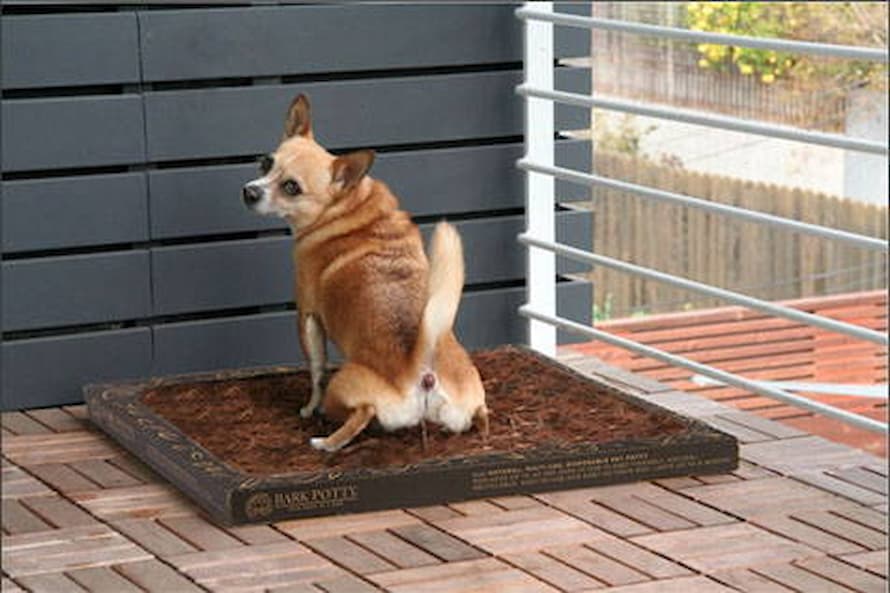 Potty Tray Alternatives