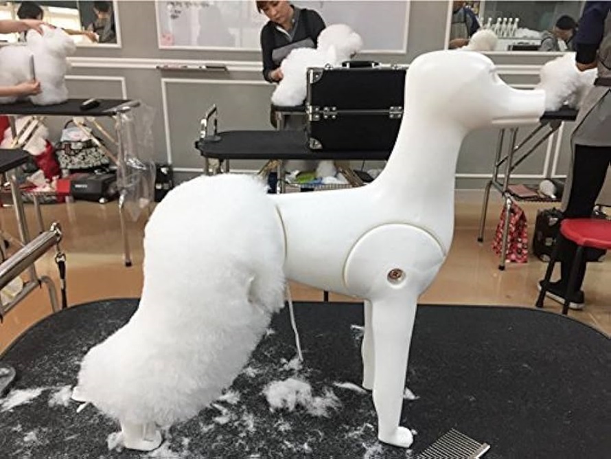a dog mannequin specially designed for learning how to groom