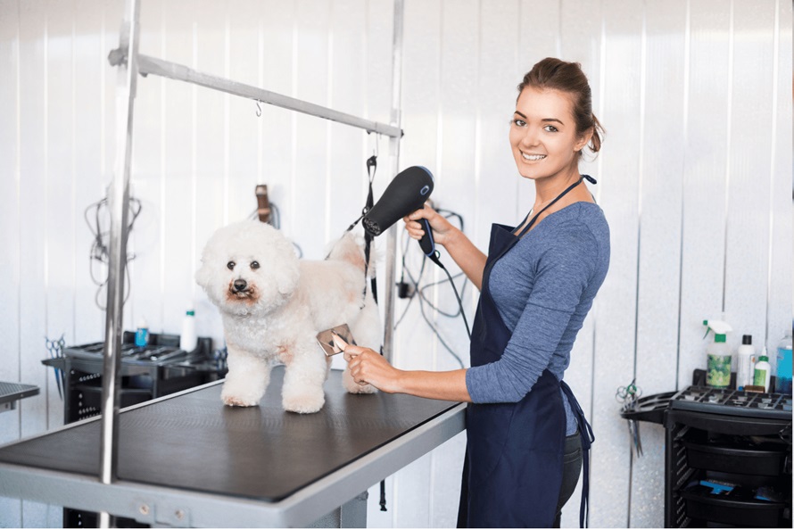 A woman with proffesional grooming attire drying a dog