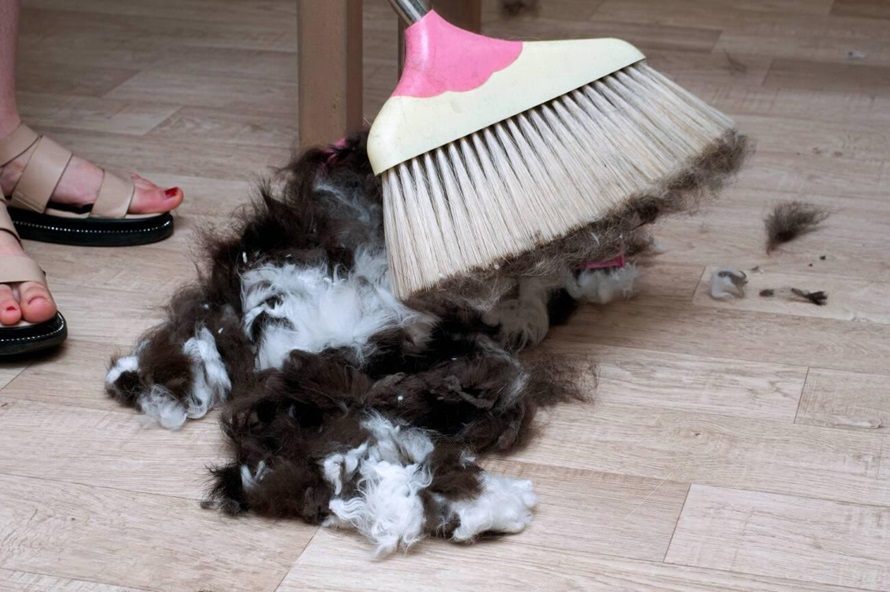 A woman cleaning dog fur with a pink broom