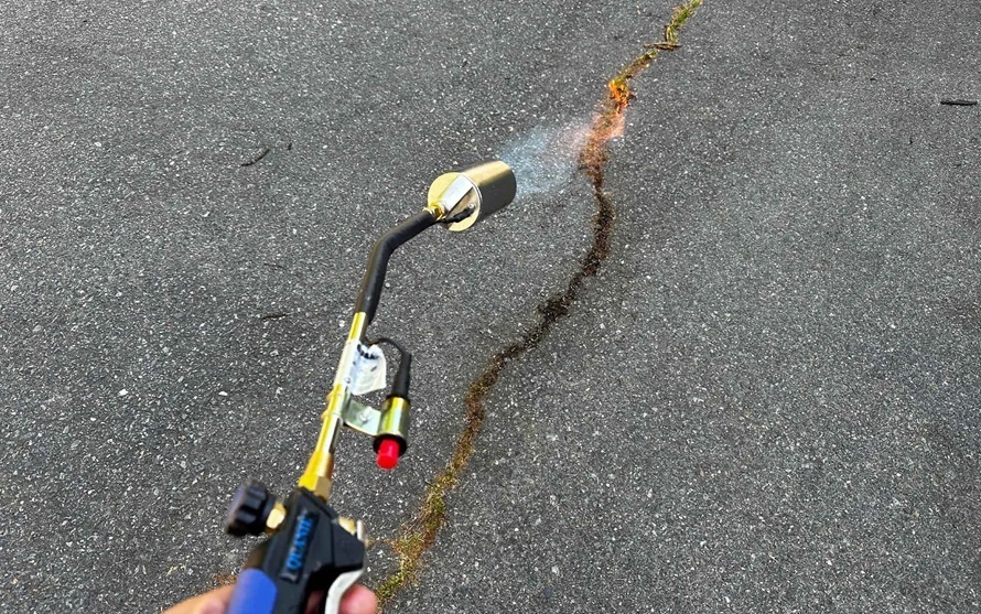 person using weed torch