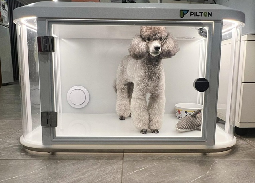 a fluffy dog in a pet cage