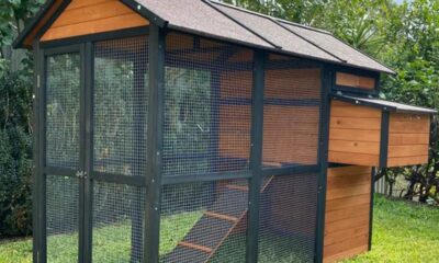 Connie Guinea Pig Hutch