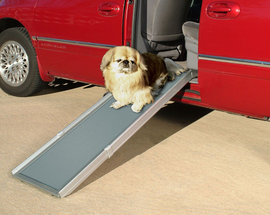 ramp for dog