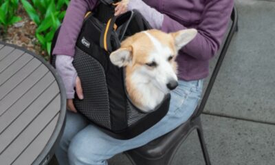 Kurgo Explorer Carrier - Large - Black - K01836