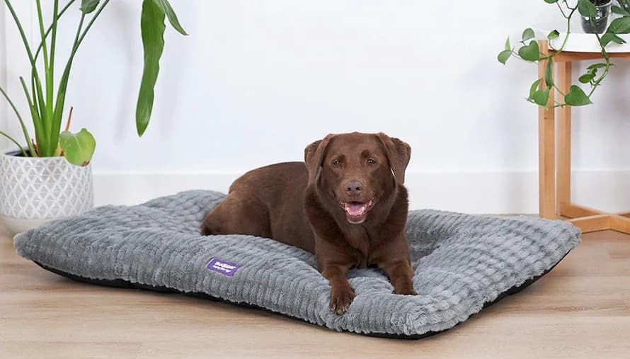 Kazoo-Dog-Bed-Cloud-Cushion-Cool-Grey-Large