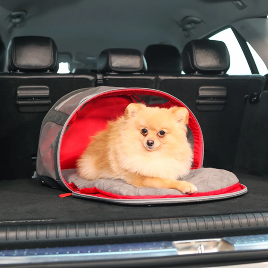KONG Pet Carrier & Travel Mat