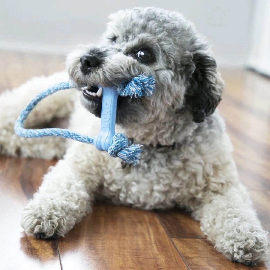 Puppy chewing toy